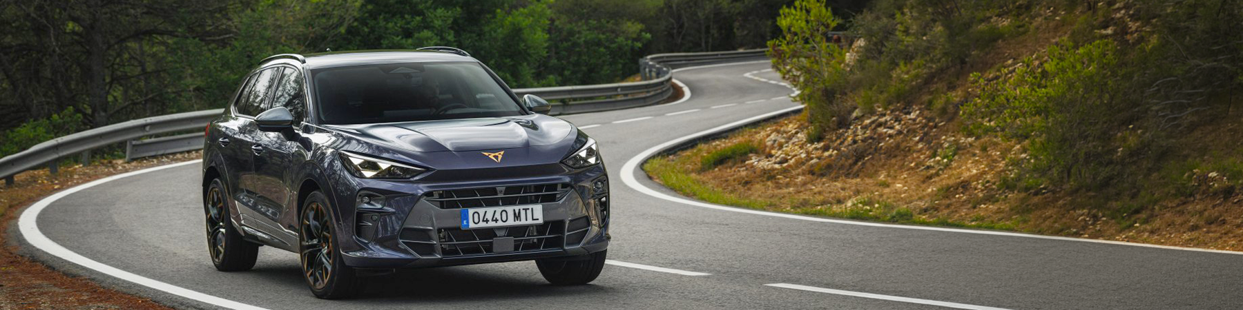 Sekce - Cupra Chosen one akce