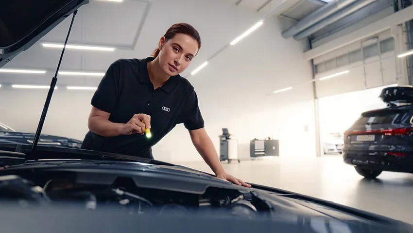 D-Audi servis