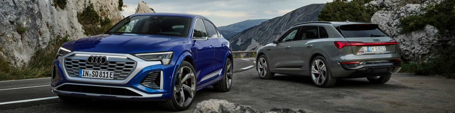 Audi Q8 e-tron