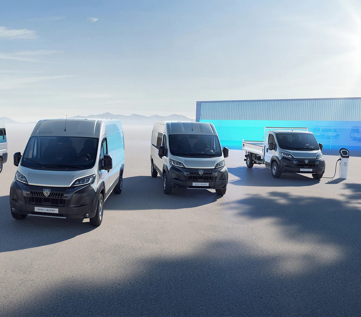 D-Peugeot užitkové skladové vozy