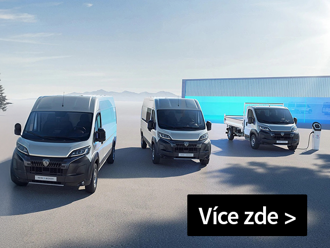 Peugeot Professional