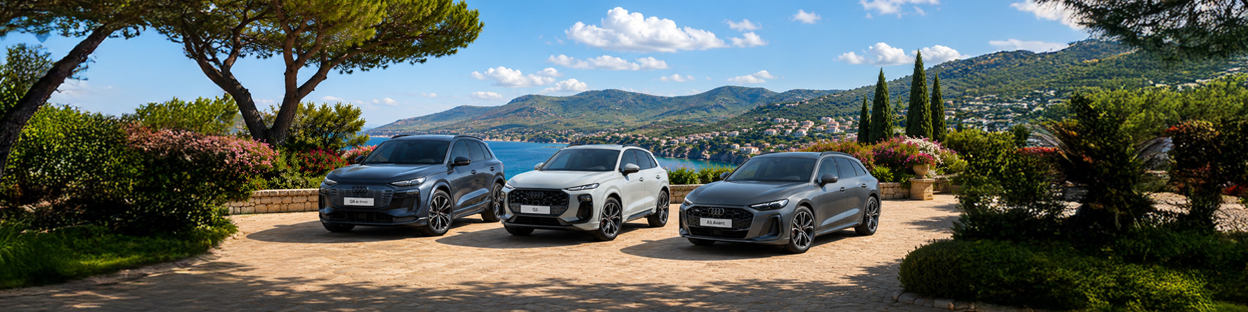 Audi limited edition