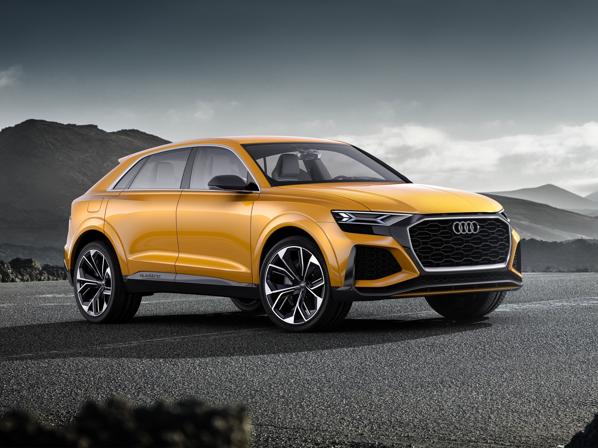 Talentovaný vícebojař: AUDI Q8 SPORT CONCEPT